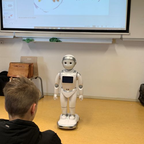 Robot robin