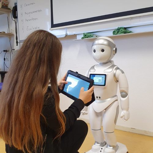 robot robin 2