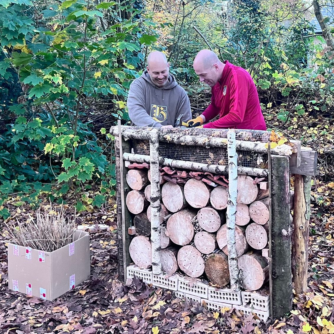 WhatsApp Image 2025-11-12 at 18.54.53